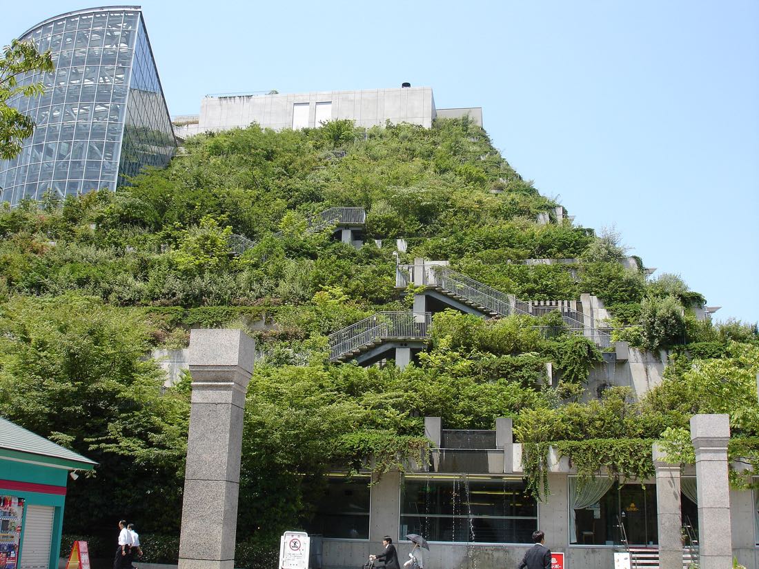 The stepped garden terraces on the south face of ACROS Fukuoka