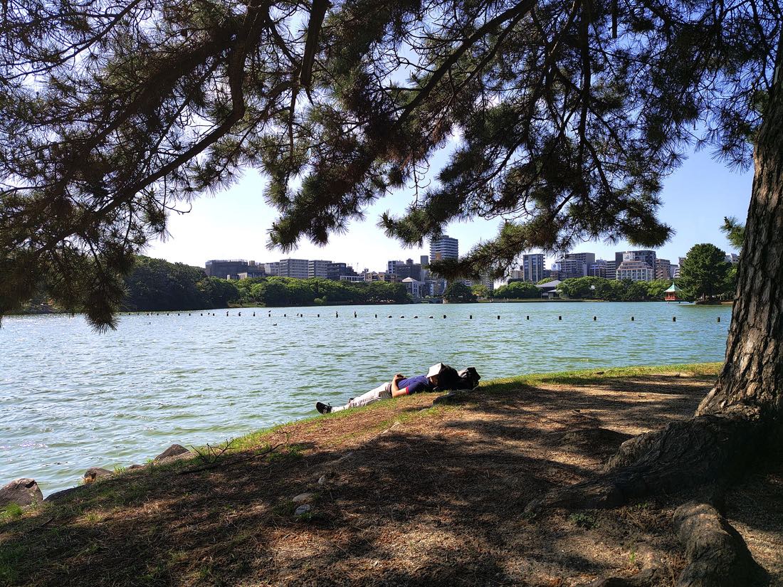 The western shore of the lake at Ohori Park, Fukuoka