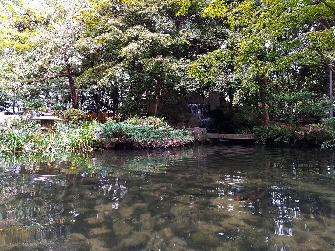 The pond in the strolling garden at Rakusuien, Hakata